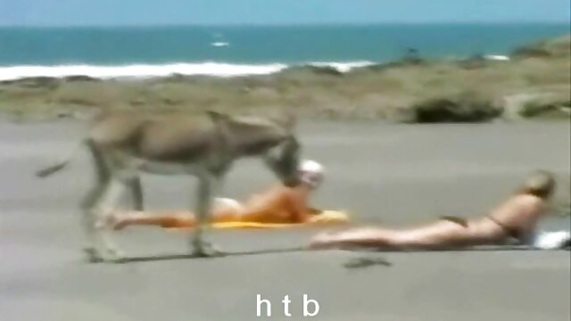 เลขาสุดเก๋กำลังซุกซนกับภารโรง ดู วีดีโอ โป๊ ฟรี