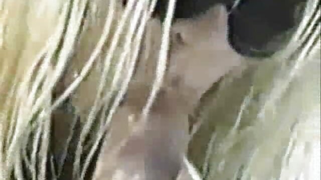 Asian MILF วีดีโอ หนัง sex นี้ซนอย่างยิ่งและเธอชอบร่วมเพศเหงื่อร้อน
